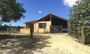 Imagem 6: Fazenda à venda, Ponte dos Leites, Araruama, RJ