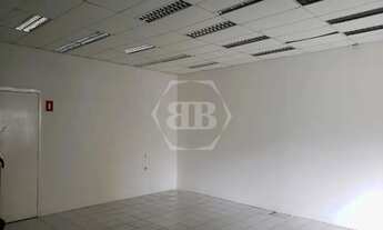 Imagem 2: Loja Bairro Menino Deus