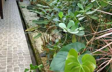 Imagem 5: Itaguá - 3 dormitórios codigo: 151625