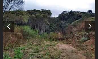 Imagem 5: Área em Bocaiúva do Sul/PR