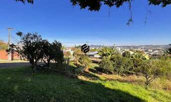 Imagem 3: Terreno à venda no Bairro Floresta em Dois Irmãos RS REF: 1405