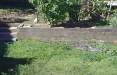 Imagem 6: TERRENO - SANTA TERESINHA - SP