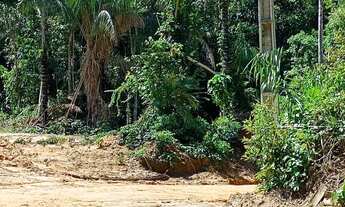 Imagem 4: Imóvel para venda possui 300 metros quadrados em Compensa - Manaus - AM