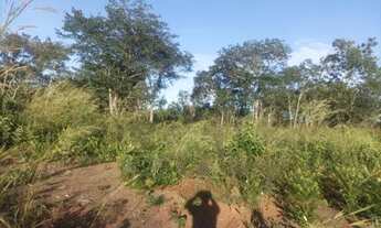 Imagem 7: Chacara sentido Aparecida Vender URGENTE