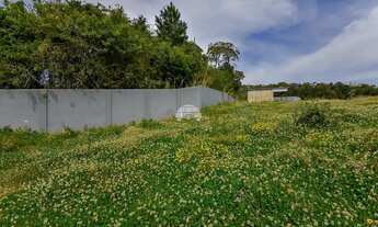 Imagem 5: Vendas Terreno Curitiba PR