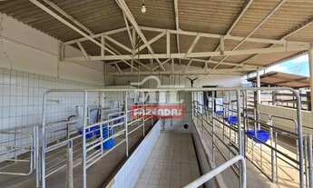 Imagem 2: Fazenda 15,67 alqueires (75,84 hectares) Hidrolândia - Go