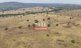 Imagem 7: Fazenda 144 alqueires (696,96 hectares) Montes Claros - GO