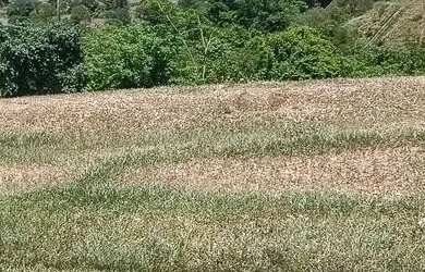 Imagem 3: Vendo lote 360M² Jardins Bolonha