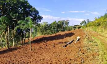 Imagem 4: Sítio / Chácara para Venda em Nova Petrópolis, Arroio Paixão