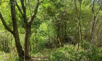 Imagem 5: 10000 metros com curso dágua no centro do terreno. Condomínio Sete Lagos