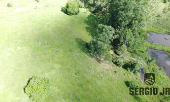 Imagem 6: Área de terra com 3ha, piscina, açude em Triunfo