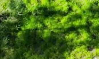 Imagem 2: Terreno residencial para venda em Três Montanhas , 1,000m²