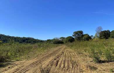 Imagem 7: Chácara de 3.900 mt em trindade com Ribeirão oportunidade!