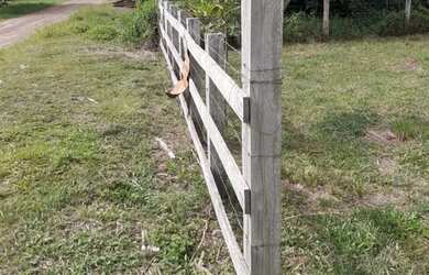 Imagem 5: Terreno plano Terreno / lote com venda por R$59.000