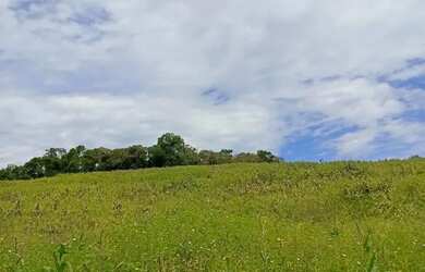 Imagem: Terrenos Residenciais em Ibiúna Lotes de