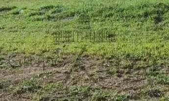 Imagem 4: Oportunidade - Terreno em Condomínio - Residencial Terras Alpha - Urbanova - 330m²