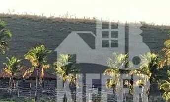 Imagem 7: Fazenda com 3 dormitórios à venda, 1210000 m² por R$ 6.000.000,00 - Reginópolis - Silva Ja