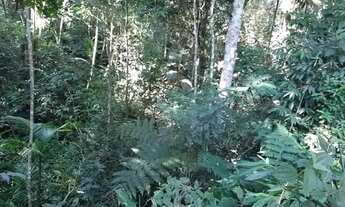 Imagem 5: Terreno 18 mil metros