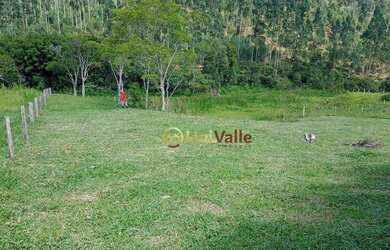 Imagem 6: Terreno à venda, 3166 m² por R$ 103.500,00 - Bairrinha Varginha - Natividade da Serra/SP