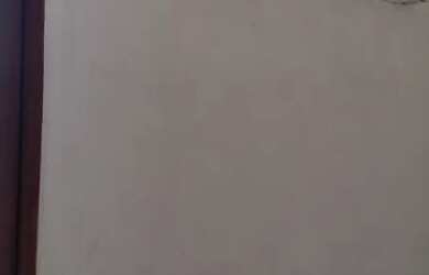 Imagem 2: Studio para alugar Norte da Ilha