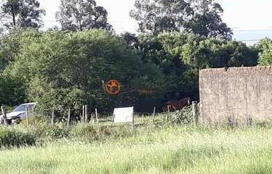 Imagem: Requinte oferece