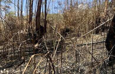 Imagem 7: Imóvel para venda tem 500 metros quadrados em Recreio - Ibiúna - SP