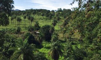 Imagem 5: Lindo Sitio de 1500 metros, Em Jaboticatubas