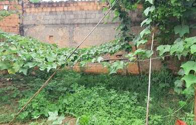 Imagem 5: Vendo uma lote no Condomínio Vale do Sol