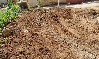 Imagem 3: Meio Lote Castanheira Santa Luzia