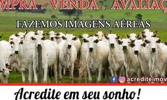 Imagem: Vender ou comprar sua chácara ou Fazenda