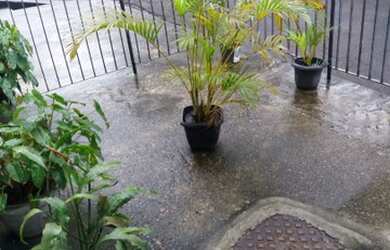 Imagem 2: Casa + Quitinete em Cordovil