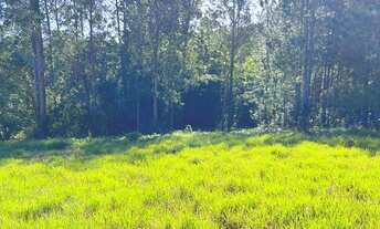 Imagem 5: ÚLTIMO SÍTIO COM RIACHO EM MORUNGAVA