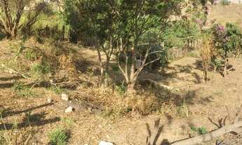 Imagem 5: Lote de 540 metros no bairro Jardin Paulista