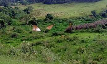 Imagem 7: 32Lote/Terreno para venda com 1000 metros quadrados com 1 quarto em Ouro Fino - Santa Isab