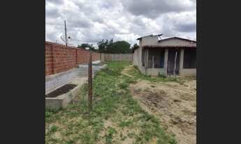 Imagem 7: Granja em São Paulo do Potengi