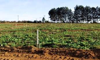 Imagem 6: Vendo meu terreno para moradia e lazer - Ibiúna