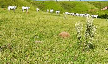 Imagem 1: VENDE-SE TERRENO EM ATIBAIA COM AMPLO ESPAÇO PARA CONSTRUÇÃO DO SEU IMÓVEL