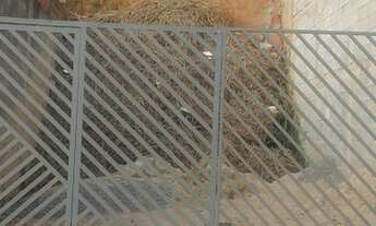 Imagem 5: Terreno para Construção