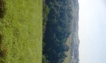 Imagem 4: V03- COMPRE SEU LOTES