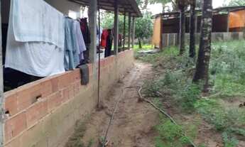 Imagem 4: Vendo uma chácara em Camaçari Bahia