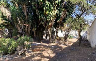 Imagem 3: Terreno à venda, 1000 m² por R$ 900.000,00 - Bandeirantes (Pampulha) - Belo Horizonte/MG