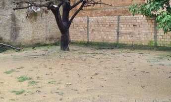 Imagem 6: ESQUINA SILVIO LEITE