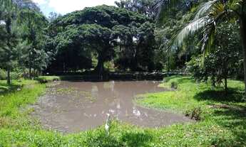 Imagem 2: Sitio com uma Casa Simples em Taquara na Localidade de Fazenda Fialho