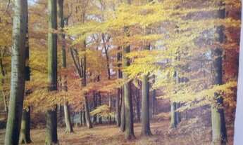 Imagem 6: Imovel Apartamento com 1 dormitório