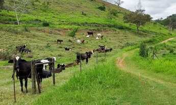 Imagem 4: 12 alqueires de terra