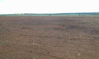 Imagem 4: FAZENDA DE SOJA EM GRAJAÚ