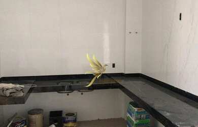 Imagem 7: Casa com 3 quartos à venda, 110 m² por R$ 800.000 - Santa Amélia - Belo Horizonte/MG