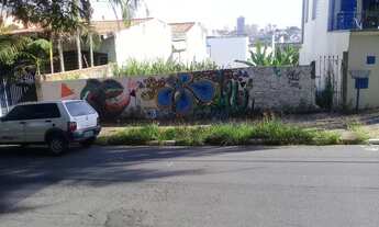 Imagem 7: Terreno - Jardim Paraíso - Campinas