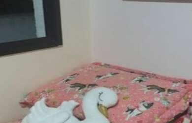 Imagem 6: LAURO DE FREITAS - Apartamento Padrão - CENTRO