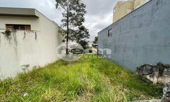 Imagem 3: SãO CAETANO DO SUL - Terreno Padrão - Nova Gerty